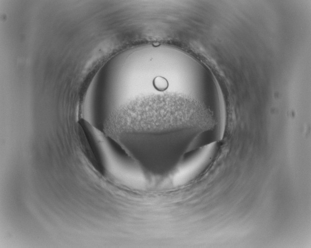 X0000088840019200706071431