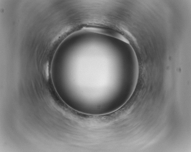 X0000088840020200706071431