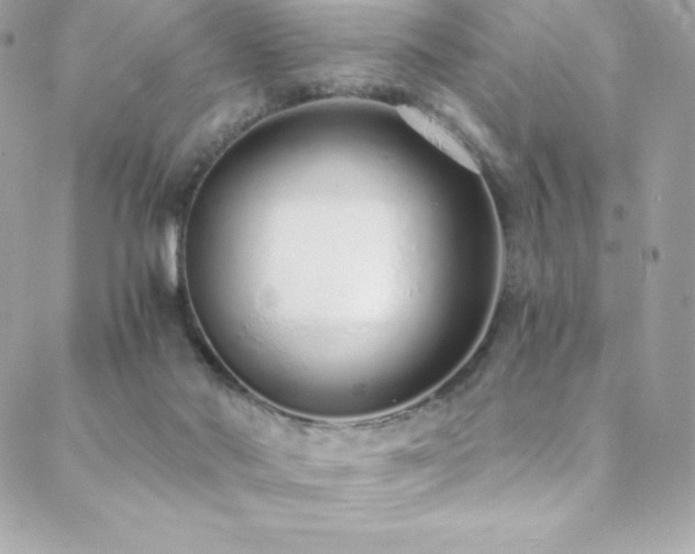 X0000088840022200706071431