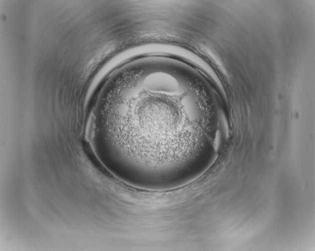 X0000088840023200706071431