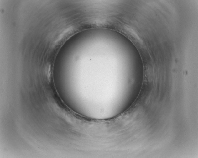 X0000088840024200706071431