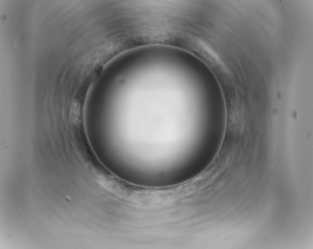 X0000088840025200706071431