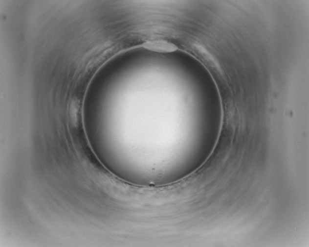 X0000088840026200706071431