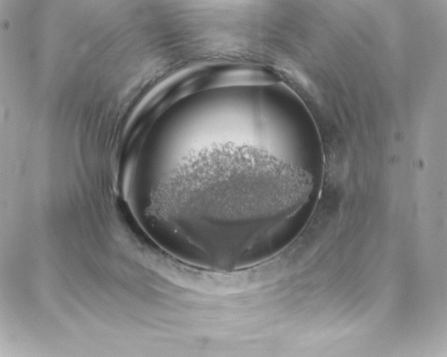 X0000088840027200706071431