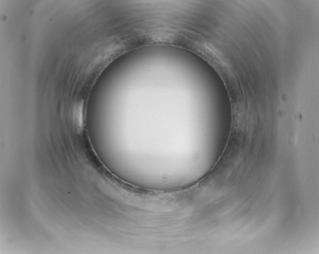 X0000088840028200706071431