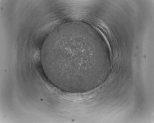 X0000088840029200706071431