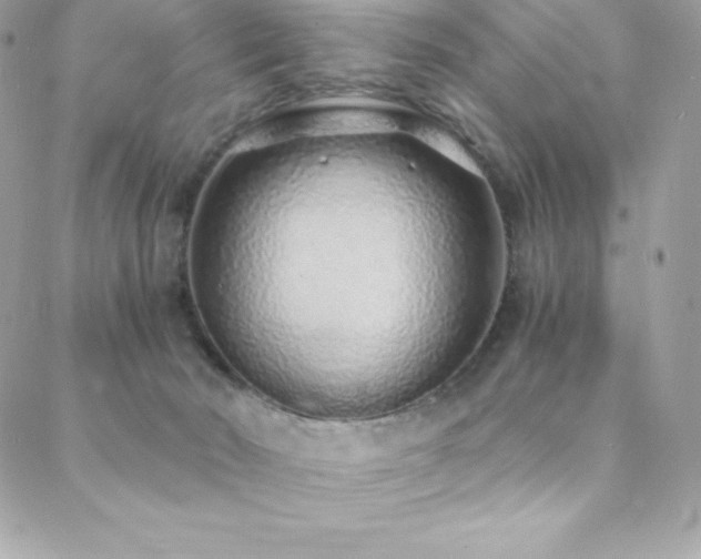 X0000088840030200706071431