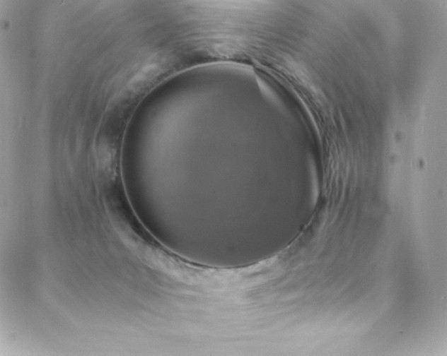 X0000088840031200706071431