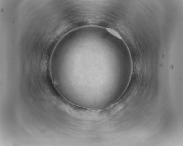 X0000088840032200706071431