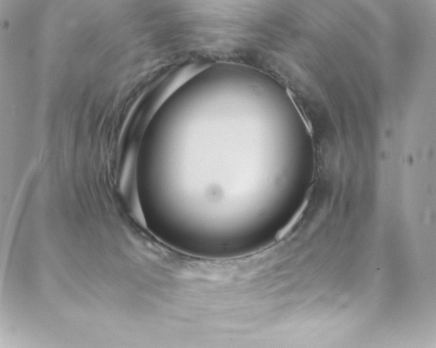 X0000088840033200706071431