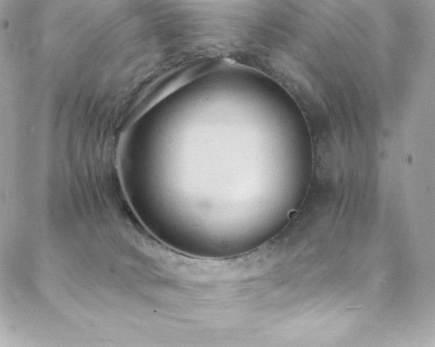 X0000088840034200706071431