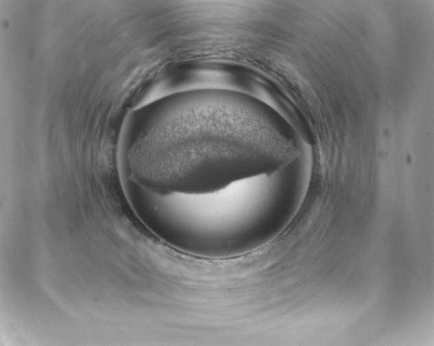 X0000088840035200706071431