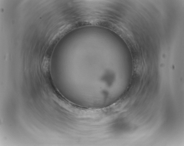 X0000088840036200706071431