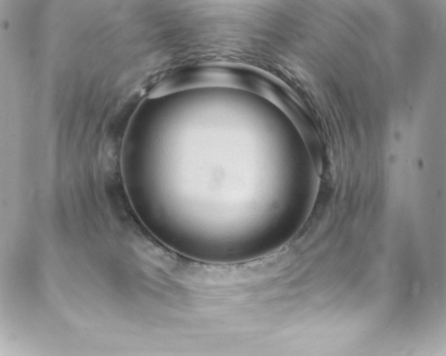 X0000088840037200706071431