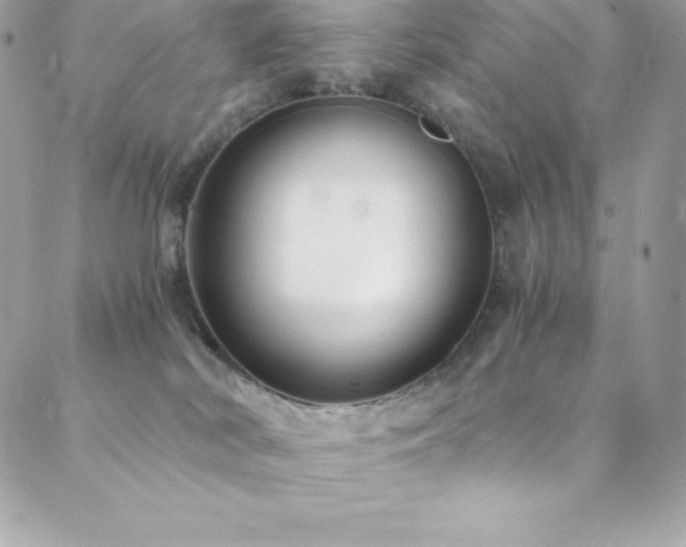 X0000088840038200706071431