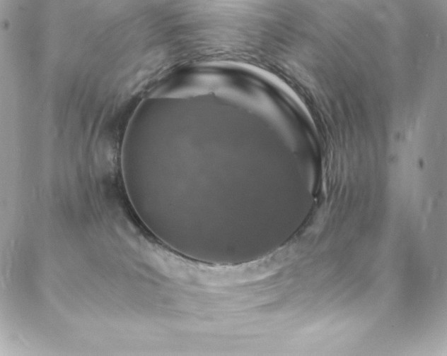 X0000088840039200706071431