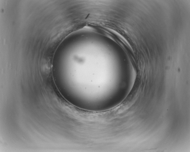 X0000088840040200706071431