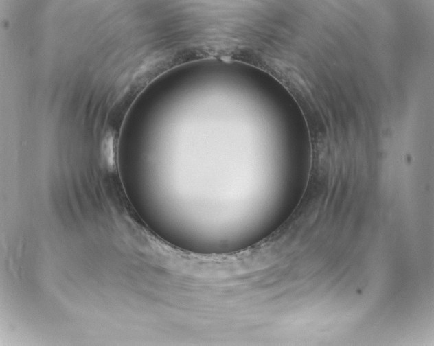 X0000088840042200706071431