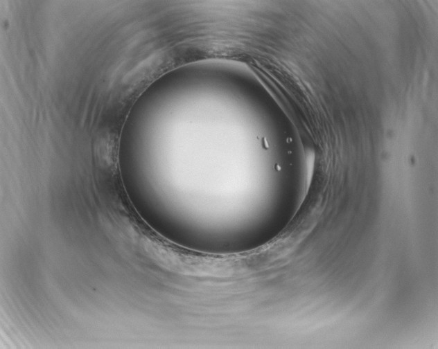 X0000088840044200706071431