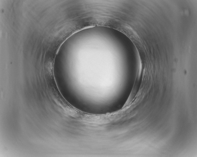 X0000088840045200706071431