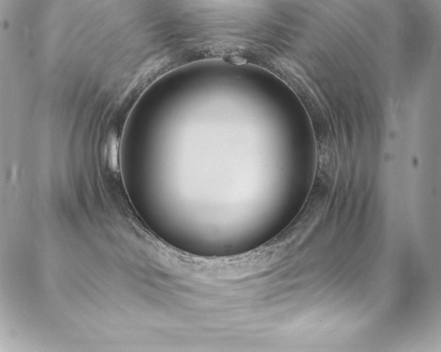 X0000088840046200706071431