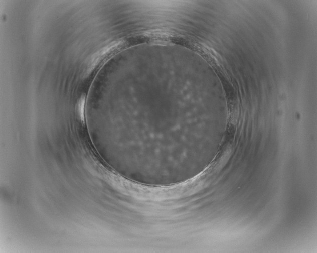 X0000088840047200706071431