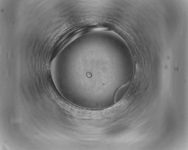 X0000088840048200706071431