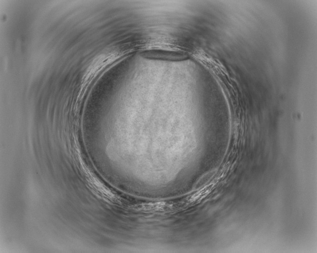 X0000088840049200706071430