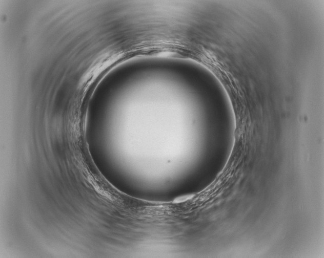 X0000088840050200706071430