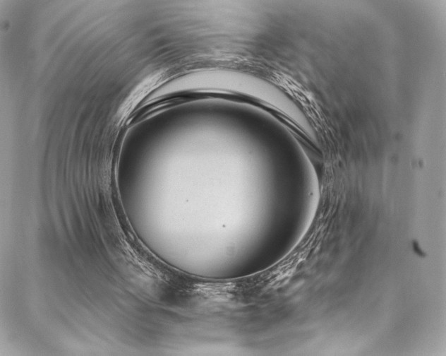 X0000088840051200706071430