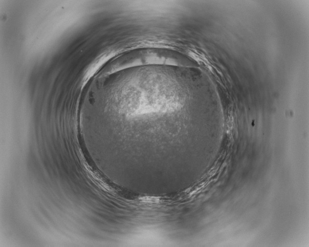 X0000088840052200706071430