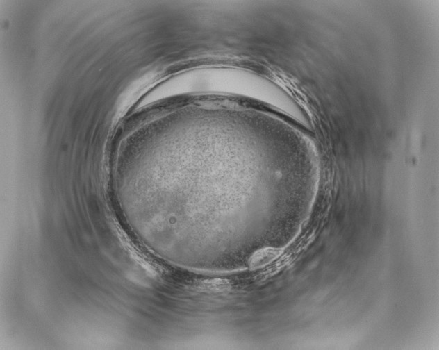 X0000088840053200706071430