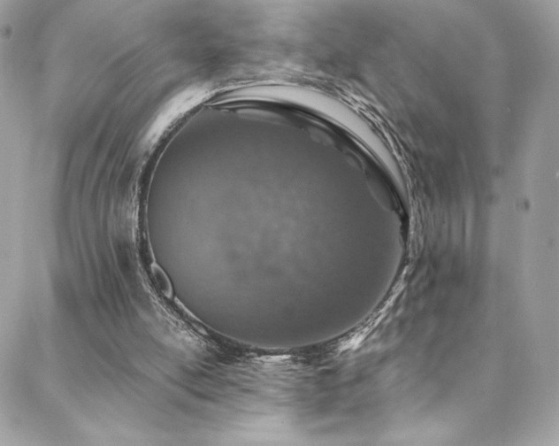 X0000088840054200706071430