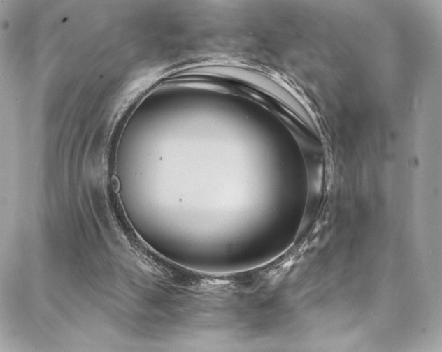 X0000088840055200706071430