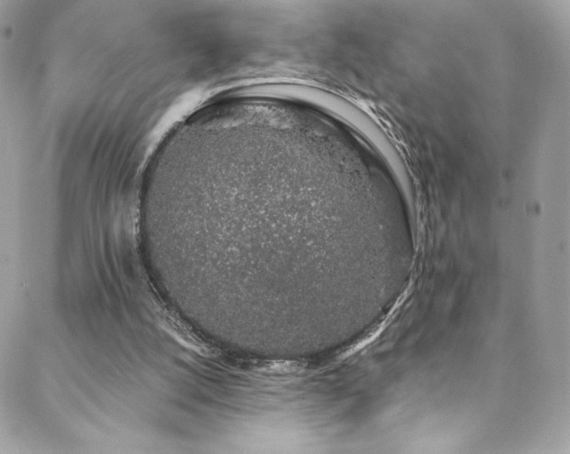 X0000088840056200706071430