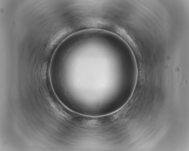 X0000088840058200706071430