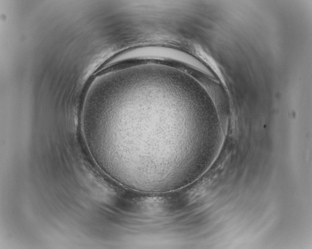 X0000088840059200706071430