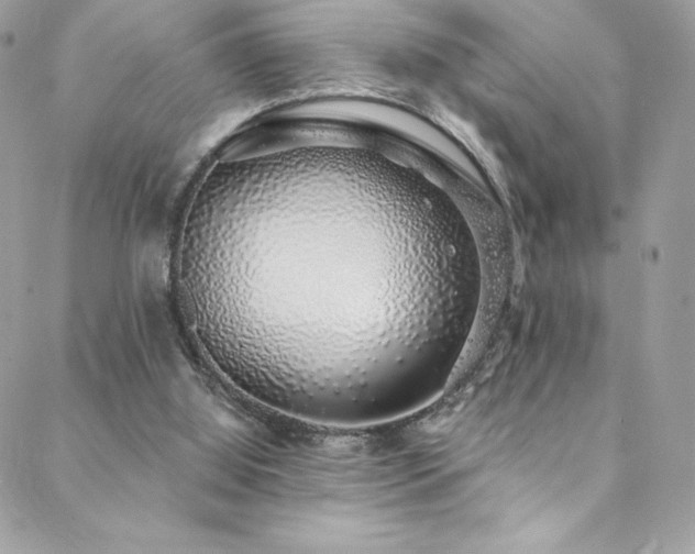 X0000088840060200706071430