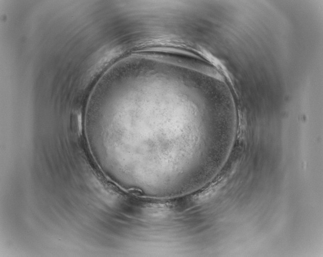 X0000088840061200706071430