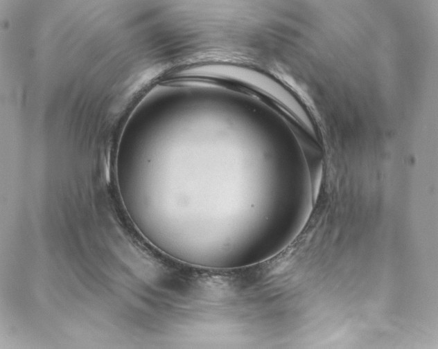 X0000088840062200706071430