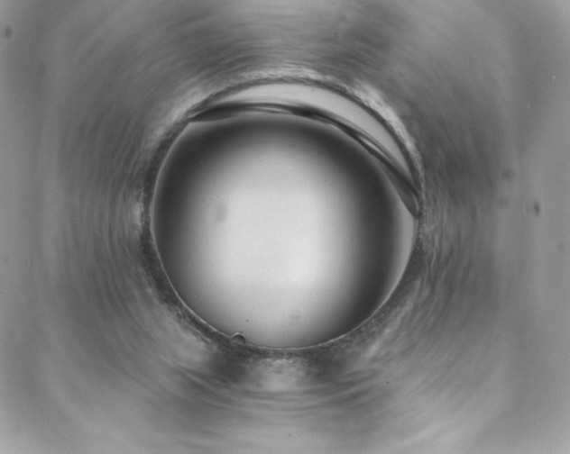 X0000088840063200706071430