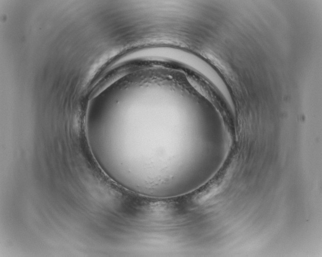 X0000088840064200706071430