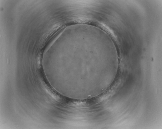 X0000088840065200706071430