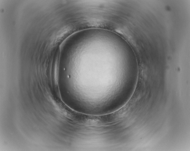 X0000088840066200706071430