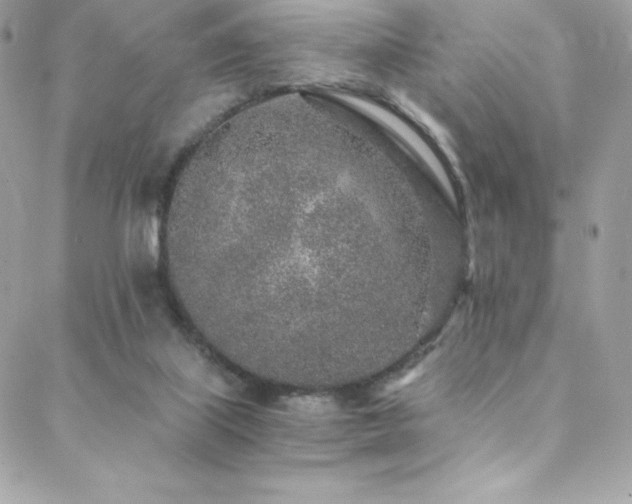 X0000088840067200706071430