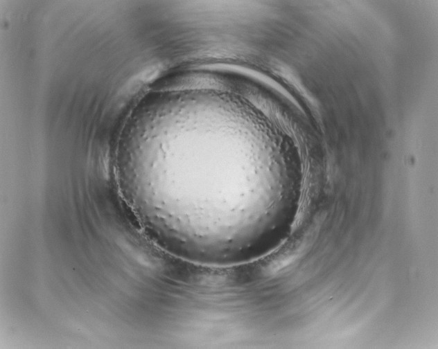 X0000088840068200706071430