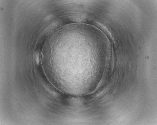 X0000088840069200706071430