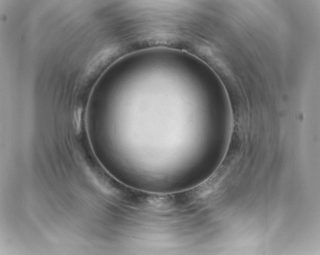 X0000088840070200706071430