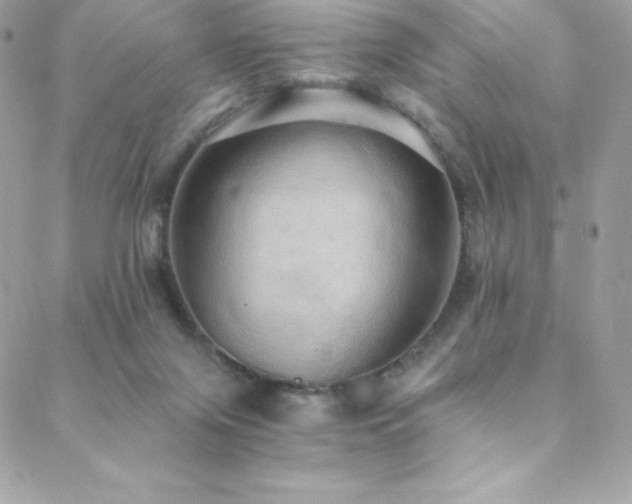 X0000088840071200706071430