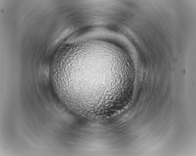 X0000088840072200706071430